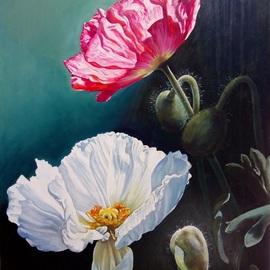 Manuela Facchin Varalda: 'poppies the earth song', 2021 Oil Painting, Floral. Artist Description: this is an unique piece original artwork oil on canvas. ...