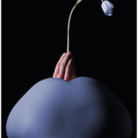 Hans Molnar Reitmeyer: 'Tulip', 2003 Black and White Photograph, Abstract. 