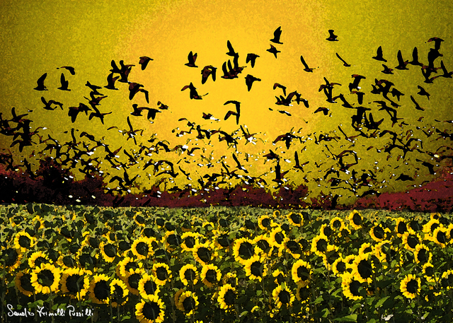 Artist Sandro Frinolli Puzzilli. 'Yellow Fly' Artwork Image, Created in 2015, Original Digital Art. #art #artist