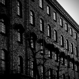Glen Sweeney: 'brickworks', 2019 Black and White Photograph, Architecture. Artist Description: A converted warehouse in Bergen Norway.  The backlight emphasises the wonderful texture of the bricks.  Bergen, Norway, bricks, warehouses. ...