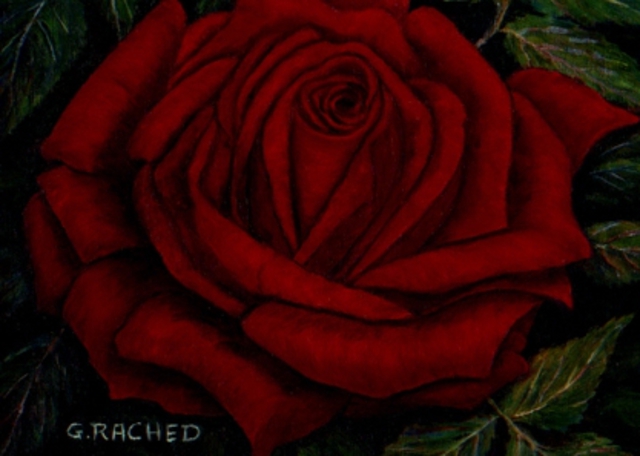 Artist Ghassan Rached. 'Single Tea Rose' Artwork Image, Created in 2002, Original Painting Oil. #art #artist