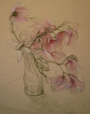 Judith Fritchman: 'Magnolia Magic', 2007 Pastel, Floral.  Pink and white Magnolia blossoms in pastel and conte pencil on tan paper. ...