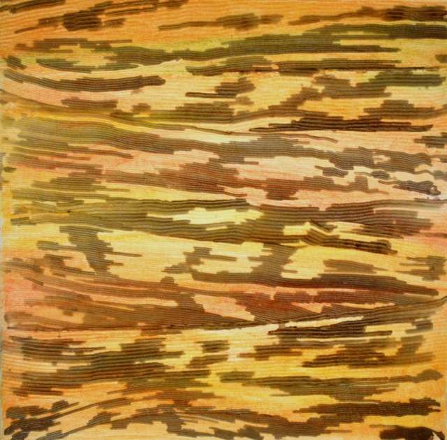 Artist Jim Lively. 'Eternal Sunshine' Artwork Image, Created in 2013, Original Photography Color. #art #artist