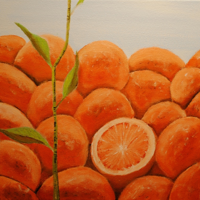 Artist Jim Lively. 'Not A Citrus' Artwork Image, Created in 2011, Original Photography Color. #art #artist