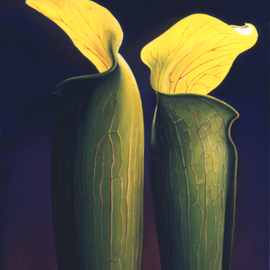 Anni Adkins: 'Two Jacks', 2006 Oil Painting, Floral. Artist Description:  jack in the pulpet, oil painting, flower painting, floral paintings, paintings of jack in the pulpets, Anni Adkins ...