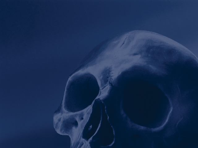 Jorge Llaca  'Blue Skull 1', created in 2002, Original Installation Indoor.