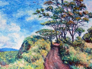 Julie Van Wyk: 'kuilau ridge trail in kauai', 2011 Oil Painting, Landscape. this painting is from a photo i took while walking one of the many trails on the island of kauai...