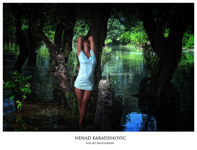 Nenad Karadjinovic  'No : 02', created in 2010, Original Photography Black and White.
