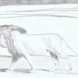 lion  By Claudia Luethi Alias Abdelghafar