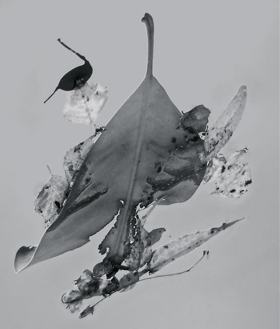 Artist Luise Andersen. 'Abstract In Nature ENCHANTMENT AFLOAAT III' Artwork Image, Created in 2013, Original Fiber. #art #artist