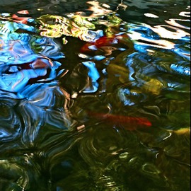 Luise Andersen: 'Goldfish Pond VII ', 2015 Color Photograph, Abstract. Artist Description:  . . invitation for a lunch. . and enjoyed very much. . specially too. . with the overture of a beautiful enchanting garden. . with waterfalls and ponds. . old goldfish i know since years. . never thought, they get as old. . hmmmaEUR|took a series . . 200 I think. . will upload several. . the abstractness in water  ...