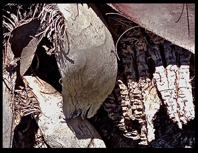 Artist Luise Andersen. 'Palm Tree Detail III APRIL 28 2014' Artwork Image, Created in 2014, Original Fiber. #art #artist