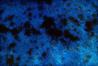Luigi Biagini: 'Cobalt and Gold', 2008 Color Photograph, Abstract.  from Marble Alchemy portfolio       ...