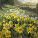 Daffodils at Mona Vale By Livia Dias