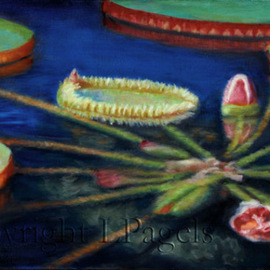 Laurie Pagels: 'Still Waters', 2010 Oil Painting, Still Life. Artist Description:  Lily pads, red, orange, blue, vibrant, flowers,  ...