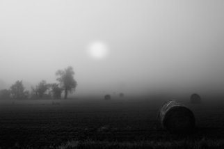 Bernhard Luettmer: 'Der Nebel', 2010 Black and White Photograph, Landscape.                            Landscape in Tuscany/ Landscape, italy, tuscany, morning, totady, tree,                           ...