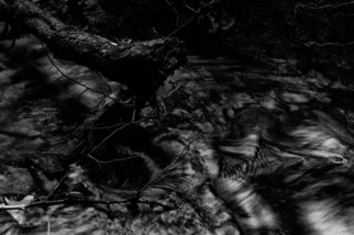 Bernhard Luettmer: 'SCHWARZES WASSER VI', 2010 Black and White Photograph, Abstract Landscape.                        Landscape in Tuscany/ Landscape, italy, tuscany, morning, totady, tree,                       ...