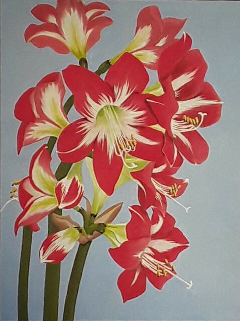 Lora Vannoord  'Amaryllis Flowers', created in 2023, Original Painting Oil.