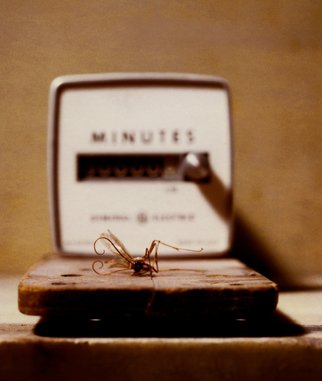 Tina West: 'Minutes', 2009 Polaroid Photograph, Still Life.    Archival Pigmented Print scanned from Polaroid type 59   ...