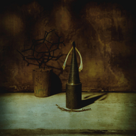 Tina West: 'Taxonomy of Memory', 2009 Polaroid Photograph, Still Life. Artist Description:   Archival Pigmented Print scanned from Polaroid type 59  ...