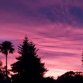 Jerry Schole: 'sun has set pink violet', 2020 Color Photograph, Landscape. Artist Description: Another Florida sunset. Electric lines lets you know photo is taken from suburbia. Photo from end of our driveway. Sunset coloration from Orange has now a coloration of Pink and Violet. No color enhancement to photo. . ...