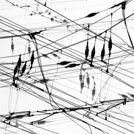 Jaromir Hron: 'WeB', 2011 Black and White Photograph, Abstract. Artist Description:   abstract, square, monochrome, black& white     ...