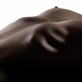 Francis Malapris: 'Under my skin', 2015 Digital Photograph, nudes. Artist Description:  woman nude skin white background nipples ...
