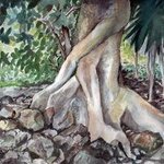 Tulum Tree, Carolyn Alston Thomas