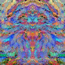 Mark Charles Fox: 'Kittysattva', 2017 Color Photograph, Abstract. Artist Description: Printed on Platinum paper stock. Luster or Matte available on request. Other sizes available on request. trickedoutimages. com...