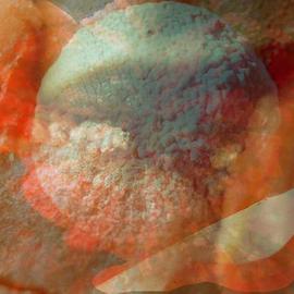 Micha Nussinov: 'Decomposition', 2004 Color Photograph, Abstract. Artist Description: The relationship between the mouth and organic matter as it decomposed. ...
