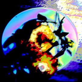 Micha Nussinov: 'Harvest 002', 2005 Other Photography, Abstract. Artist Description: The process of creating this image was taking me through composing and arranging elements on plate, taking a 4. 5X6 photograph, scaning the positive film into computer and editing on photoshop. ...
