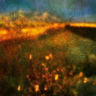 Michael Regnier: 'Flowers By The River', 2010 Color Photograph, Landscape.  landscape, flowers, sunset      ...