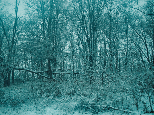 Artist Nancy Bechtol. 'Blue Serene Winter' Artwork Image, Created in 2008, Original Photography Mixed Media. #art #artist