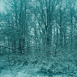 Nancy Bechtol: 'blue serene winter', 2008 Other Photography, Landscape. Artist Description:  blue serene winter photo altered winter scene ...