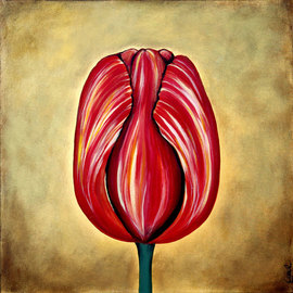 Tulip I By Ozgul Tuzcu