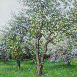 Petr Parkhimovitch: 'silver flower', 2017 Oil Painting, Landscape. Artist Description: The cool May day is filled with the aroma of apple blossom.Original paintingThe artwork on the stretcher, without a frame, signed on the front and back side, has a Certificate of Authenticity, certified by expertise.Offer your price. ...