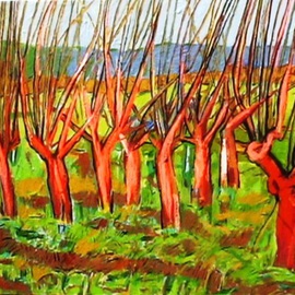 Dimitra Koula: 'trees', 2010 Oil Painting, Landscape. Artist Description:  pictures of my home  ...