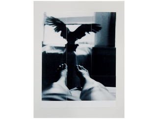 Marilyn Nosewicz: 'Bird  Window Room Figure Black White Silver Gelatin Photograph', 2011 Black and White Photograph, Abstract Figurative.     Black and White Photograph of Bird Flying From figure to Window. Photographed with black and white film, film camera. Hand Printed in darkroom with chemicals. Silver Gelatin Photograph. Re- Printed, via tileing 9 tiles, mounted to Board. Hand signed on front of photograph. Email me for other questions. 2 ...