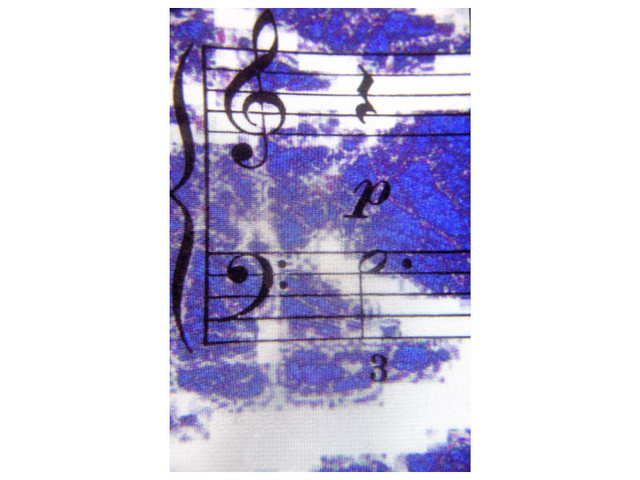 Artist Marilyn Nosewicz. 'Music Blue Notes Color Photography' Artwork Image, Created in 2010, Original Printmaking Giclee - Open Edition. #art #artist