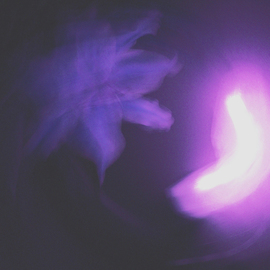 C. A. Hoffman: 'Lucious Lucious Light', 2009 Color Photograph, Abstract. Artist Description:  Violet, violet bright.   ...