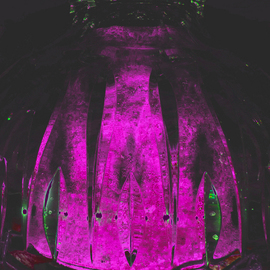 Nexiuums Purple Dome By C. A. Hoffman
