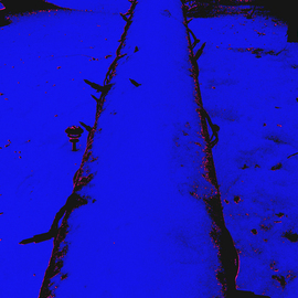 Scarlet And Blue Landing Strip, C. A. Hoffman
