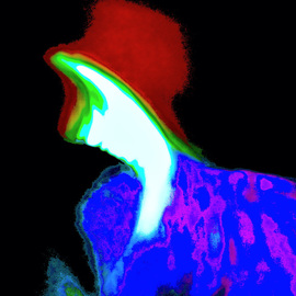 C. A. Hoffman: 'red felt hat', 2021 Color Photograph, Abstract. Artist Description: This is an original color photo that has been digitally enhanced to create an entirely new and exciting piece of art. ...