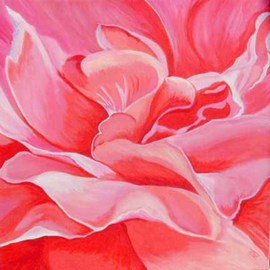 Renee Rutana: 'Blush', 2006 Acrylic Painting, Floral. Artist Description: This is a close up of a rose, has an abstract feel to it. The actual depth of the canvas is 1 3/ 8. * Thick gallery wrapped canvas with painting extending to the sides....