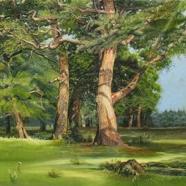 Vera Volkova: 'pines', 2008 Oil Painting, Landscape. Artist Description: The picture was drawn under the impression of viewing the painting  Oak Grove  by Ivan Shishkin. ...
