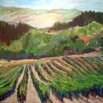 Vineyards By Roz Zinns