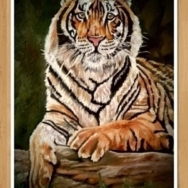 tiger oil painting By Sankara Narayanan