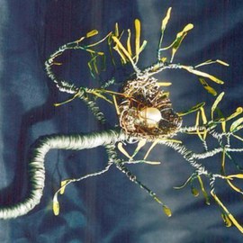 Bird Nest    No1  Wire Sculpture  By Sal Villano
