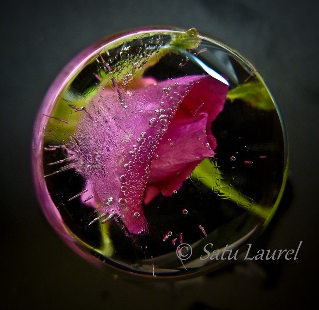 Artist Satu Laurel. 'Round1' Artwork Image, Created in 2012, Original Photography Color. #art #artist