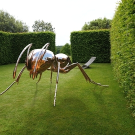 Sebastian Novaky: 'bioregulation 1', 2015 Steel Sculpture, Abstract. Artist Description: Giant Ant or Bug Garden sculpture, by Sebastian Novaky.Massive Stainless steel Ant statue sculpture for sale for Outside Outdoors In the Garden or Yard. ...